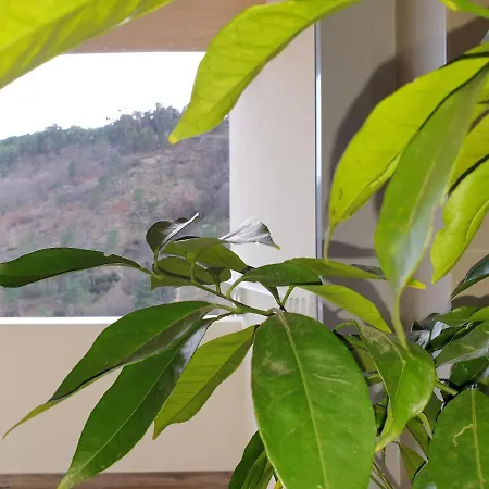 Apartament Altavista Penthouse T2 Covilhã