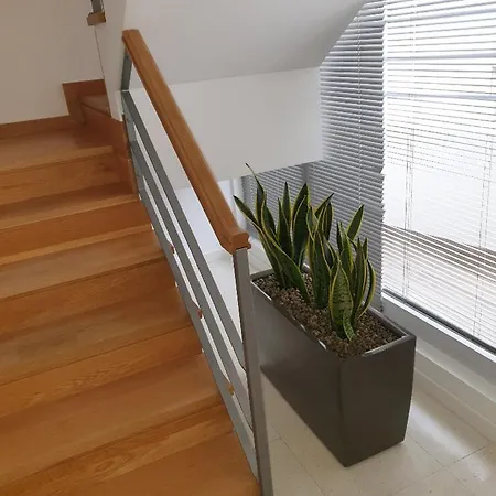 Altavista Penthouse T2