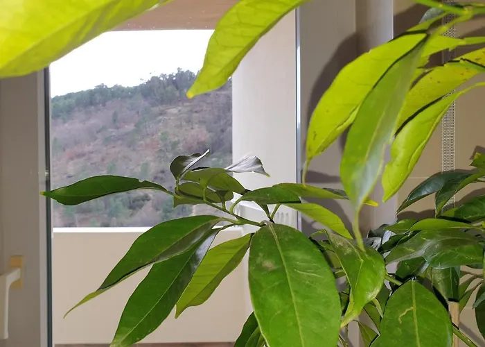 Daire Altavista Penthouse T2 Covilhã